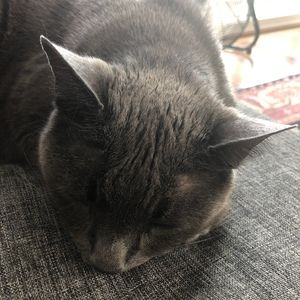 Meet your Posher, Jenna